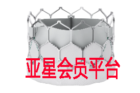 什么亮点值得关注在CMEF医博会和各类学术年会中？